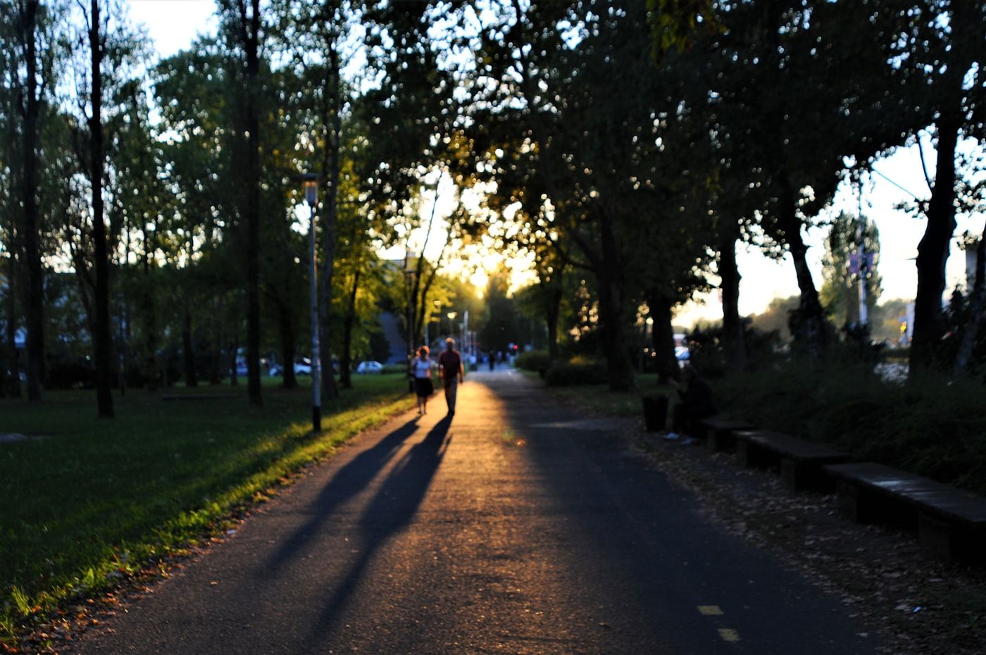 Golden hour park pathway with tree-lined avenue, joggers and pedestrians in long evening shadows